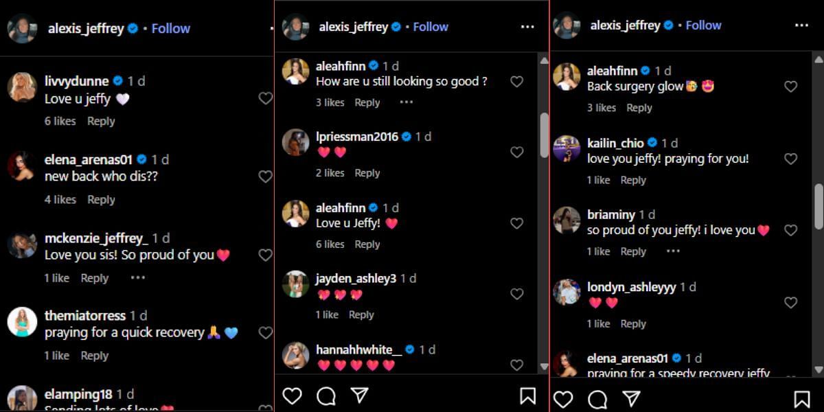 Screenshot of the Instagram post's comment section.